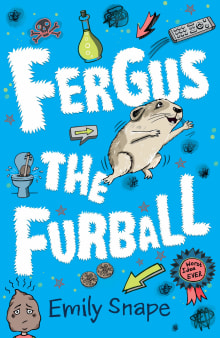 Book cover of Fergus the Furball