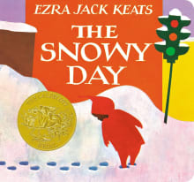 Book cover of The Snowy Day