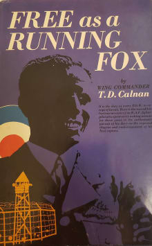 Book cover of Free As a Running Fox