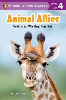 Book cover of Animal Allies: Creatures Working Together