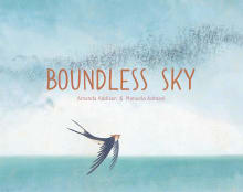 Book cover of Boundless Sky