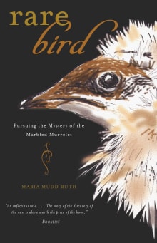 Book cover of Rare Bird: Pursuing the Mystery of the Marbled Murrelet