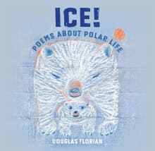 Book cover of Ice! Poems About Polar Life