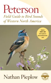 Book cover of Peterson Field Guide to Bird Sounds of Western North America