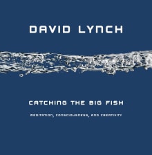 Book cover of Catching the Big Fish: Meditation, Consciousness, and Creativity