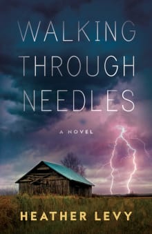 Book cover of Walking Through Needles