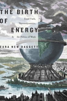 Book cover of The Birth of Energy: Fossil Fuels, Thermodynamics, and the Politics of Work