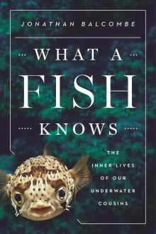 Book cover of What a Fish Knows: The Inner Lives of Our Underwater Cousins