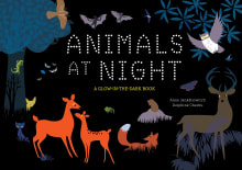 Book cover of Animals at Night: A Glow-In-The-Dark Book