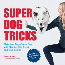 Book cover of Super Dog Tricks: Make Your Dog a Super Dog with Step by Step Tricks and Training Tips