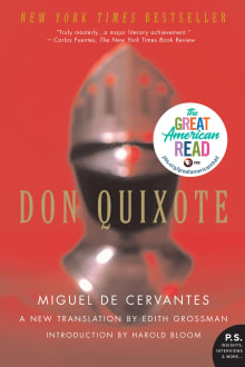 Book cover of Don Quixote