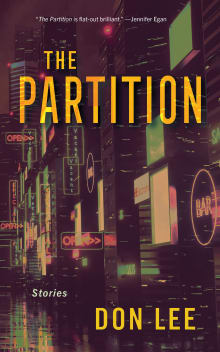 Book cover of The Partition