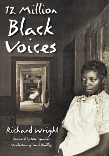 Book cover of 12 Million Black Voices