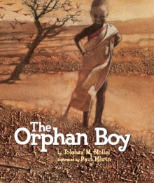 Book cover of The Orphan Boy