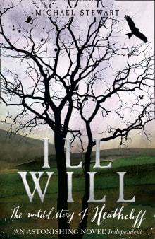 Book cover of Ill Will