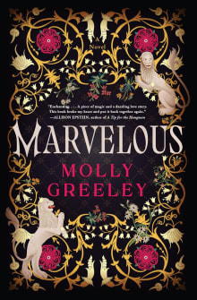 Book cover of Marvelous