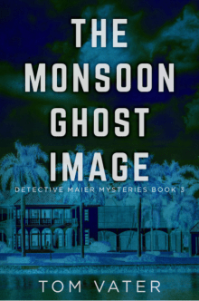 Book cover of The Monsoon Ghost Image