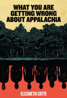 Book cover of What You Are Getting Wrong about Appalachia