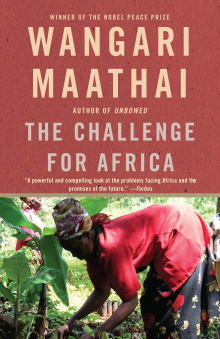 Book cover of The Challenge for Africa