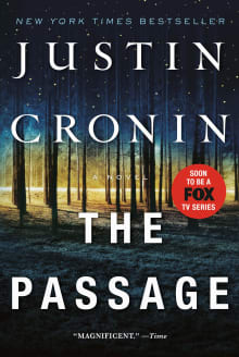 Book cover of The Passage