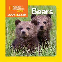 Book cover of National Geographic Kids Look and Learn: Bears