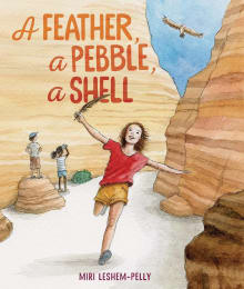 Book cover of A Feather, a Pebble, a Shell