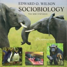 Book cover of Sociobiology: The New Synthesis