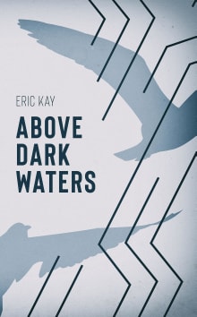 Book cover of Above Dark Waters