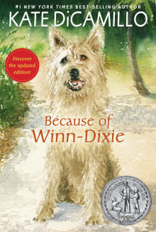 Book cover of Because of Winn-Dixie