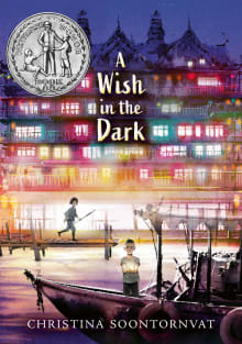 Book cover of A Wish in the Dark