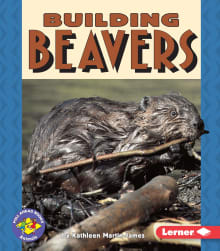 Book cover of Building Beavers