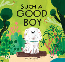 Book cover of Such a Good Boy