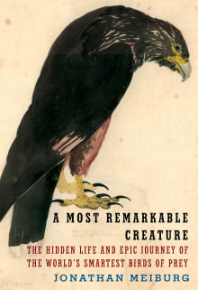 Book cover of A Most Remarkable Creature: The Hidden Life and Epic Journey of the World's Smartest Birds of Prey