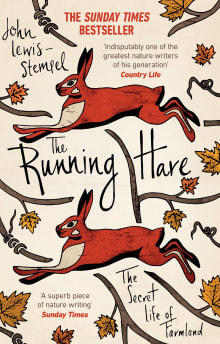 Book cover of The Running Hare