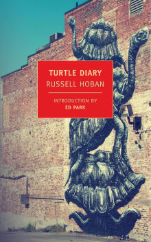 Book cover of Turtle Diary