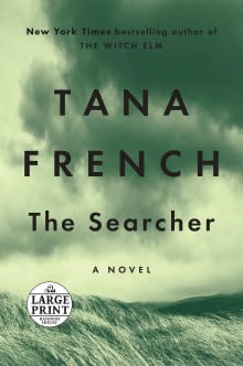 Book cover of The Searcher