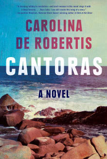 Book cover of Cantoras