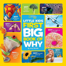 Book cover of Little Kids First Big Book of Why