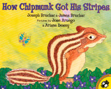 Book cover of How Chipmunk Got His Stripes