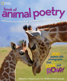 Book cover of The National Geographic Book of Animal Poetry: 200 Poems with Photographs That Squeak, Soar, and Roar!
