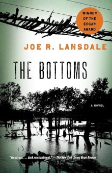 Book cover of The Bottoms