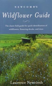 Book cover of Newcomb's Wildflower Guide