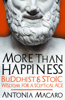 Book cover of More Than Happiness: Buddhist and Stoic Wisdom for a Sceptical Age