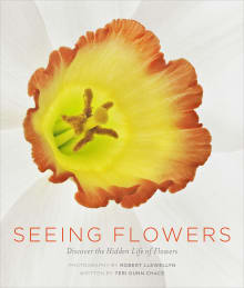 Book cover of Seeing Flowers: Discover the Hidden Life of Flowers