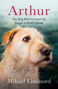 Book cover of Arthur: The Dog Who Crossed the Jungle to Find a Home