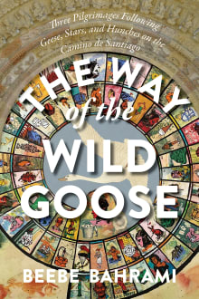 Book cover of The Way of the Wild Goose: Three Pilgrimages Following Geese, Stars, and Hunches on the Camino de Santiago