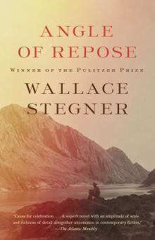 Book cover of Angle of Repose