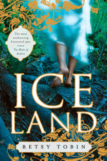 Book cover of Ice Land