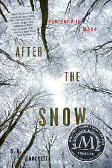 Book cover of After the Snow