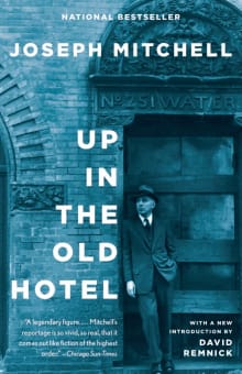 Book cover of Up in the Old Hotel